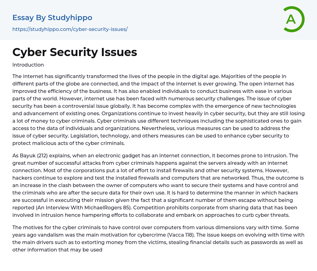 Cyber Security Issues Essay Example
