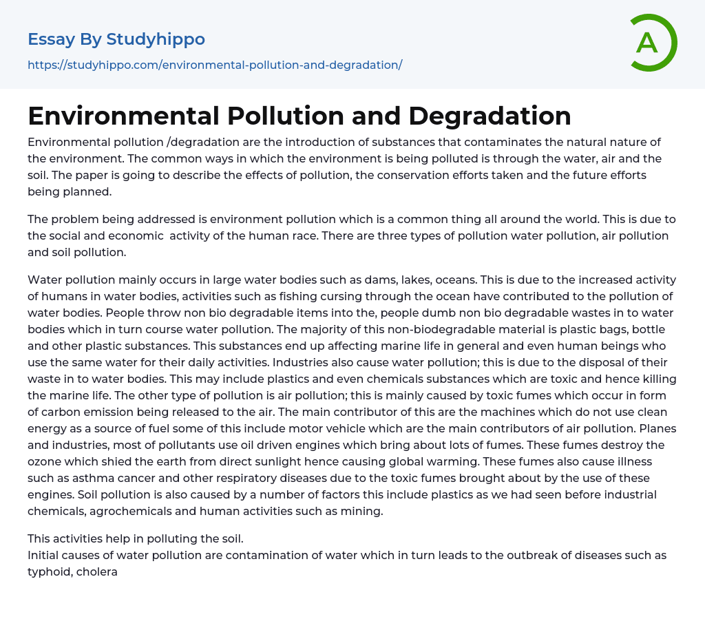 Environmental Pollution and Degradation Essay Example