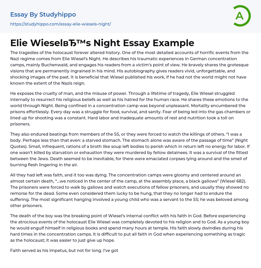 Elie Wiesel’s Night Essay Example
