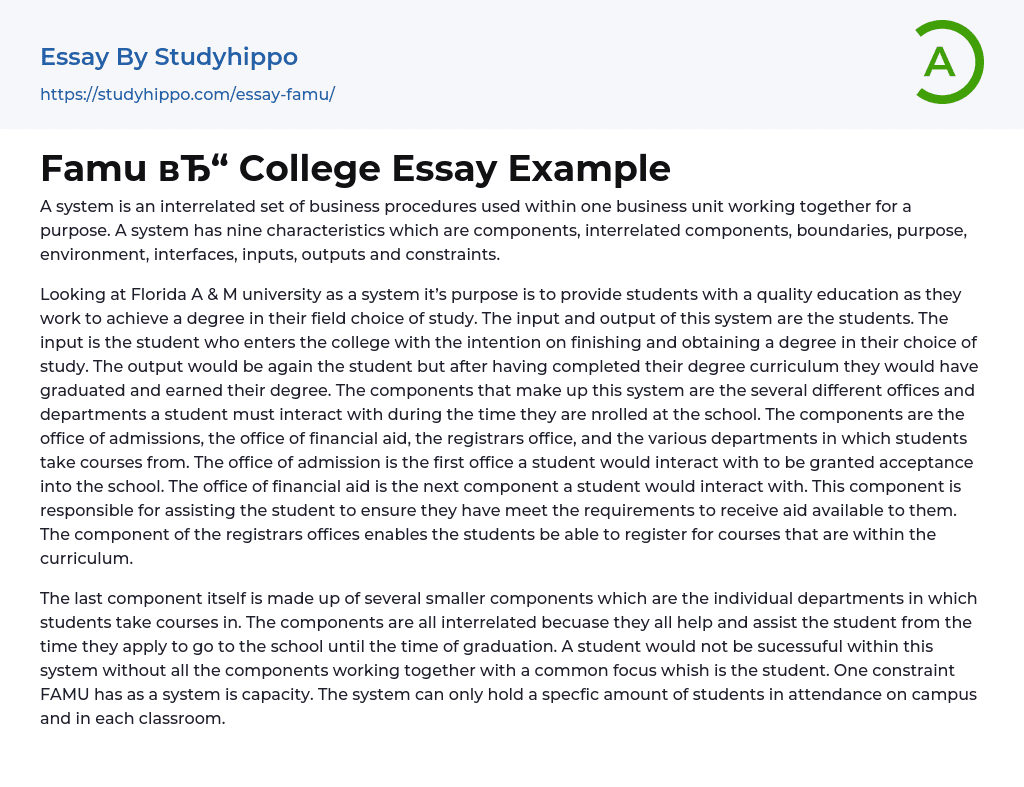 Famu College Essay Example