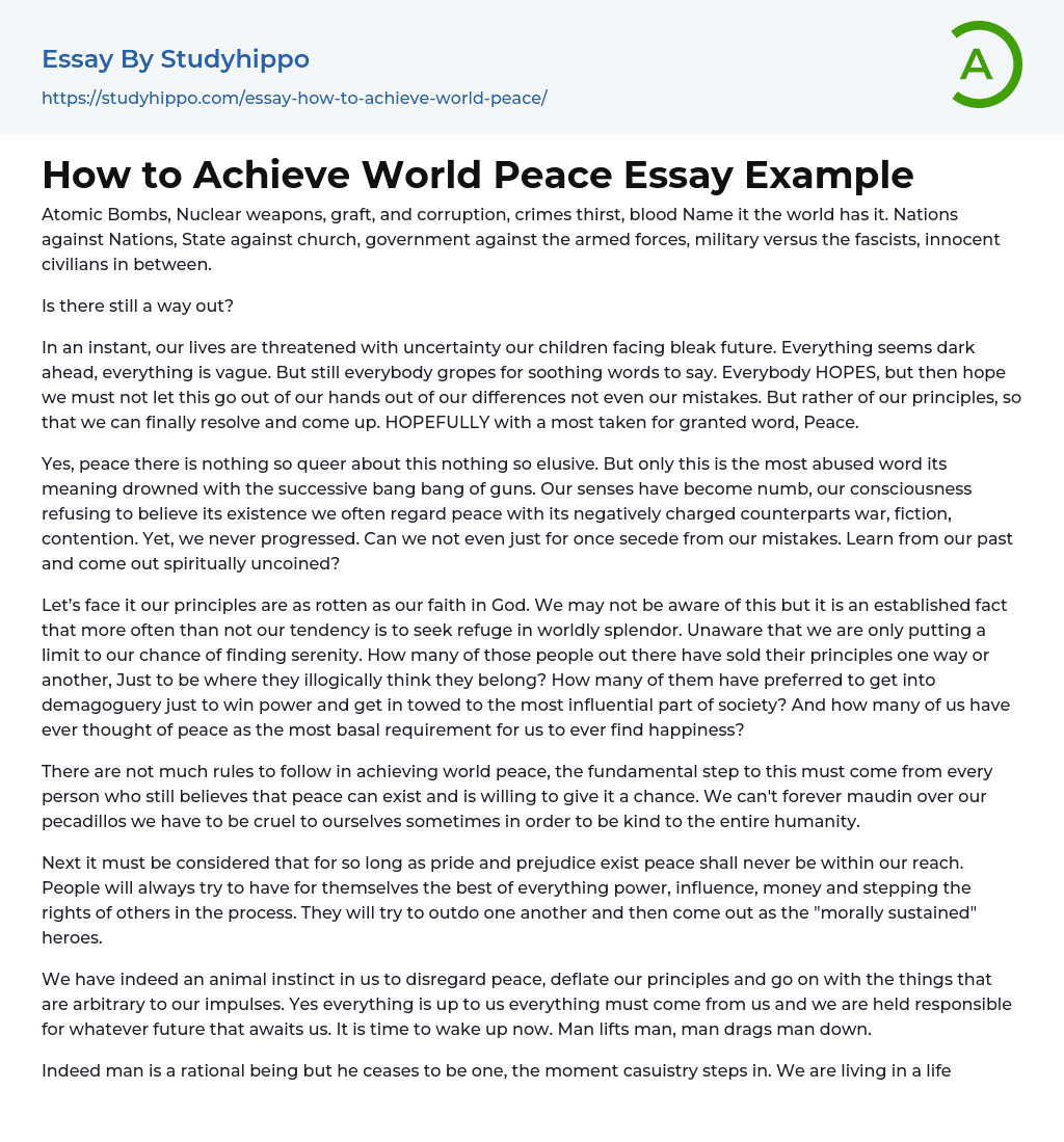 How to Achieve World Peace Essay Example