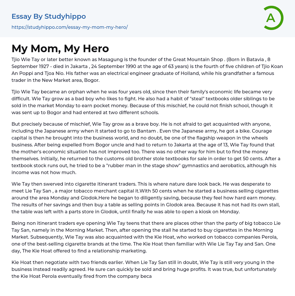 My Mom, My Hero Essay Example