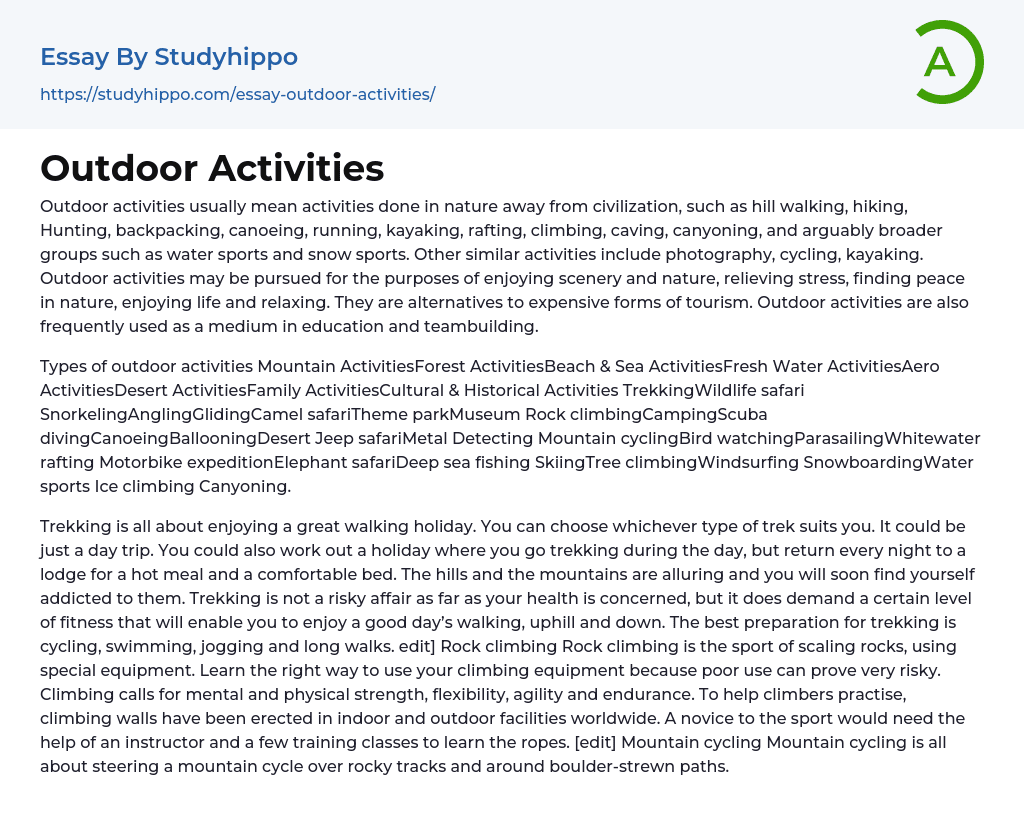 Outdoor Activities Essay Example