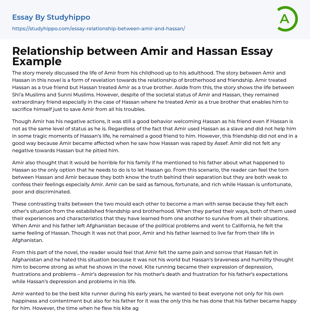 Relationship between Amir and Hassan Essay Example