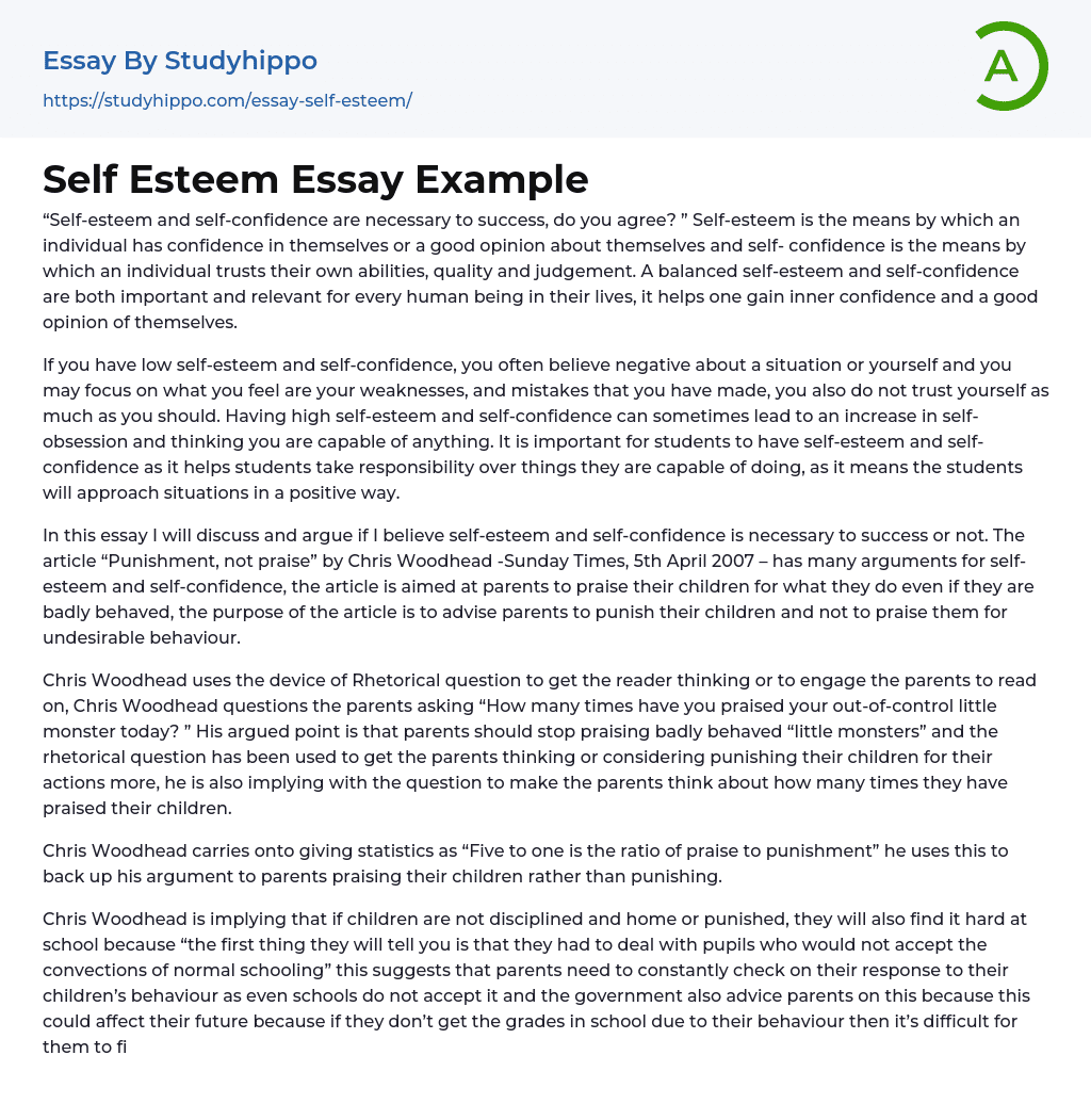 Self Esteem Essay Example