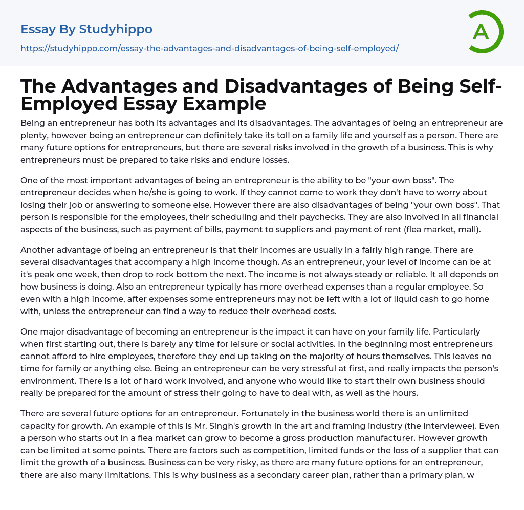 The Advantages and Disadvantages of Being SelfEmployed Essay Example