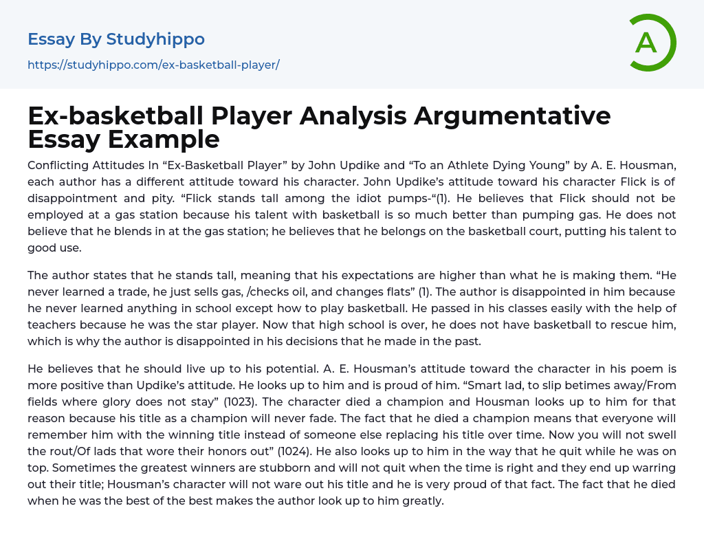 Exbasketball Player Analysis Argumentative Essay Example