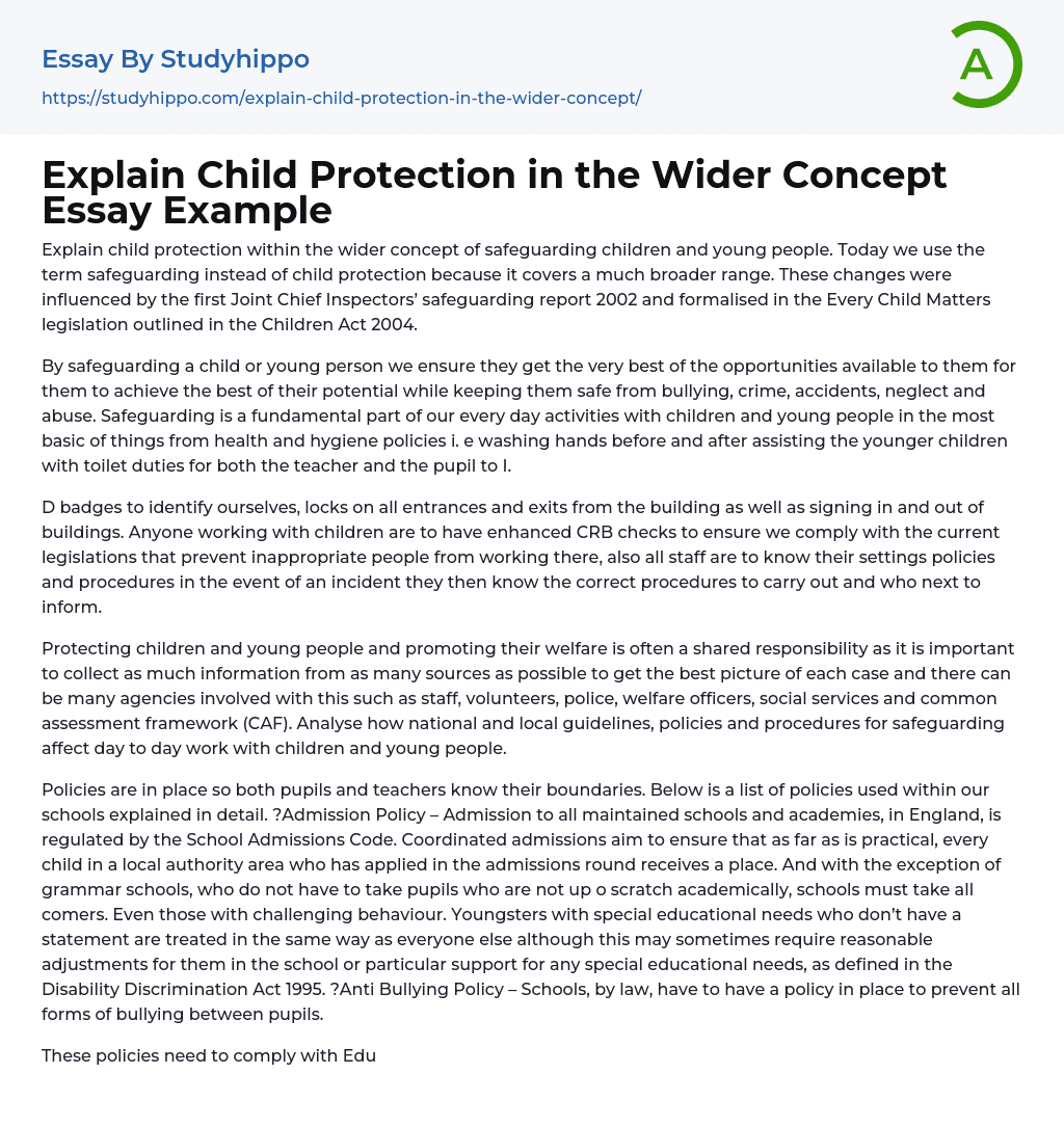 Explain Child Protection in the Wider Concept Essay Example