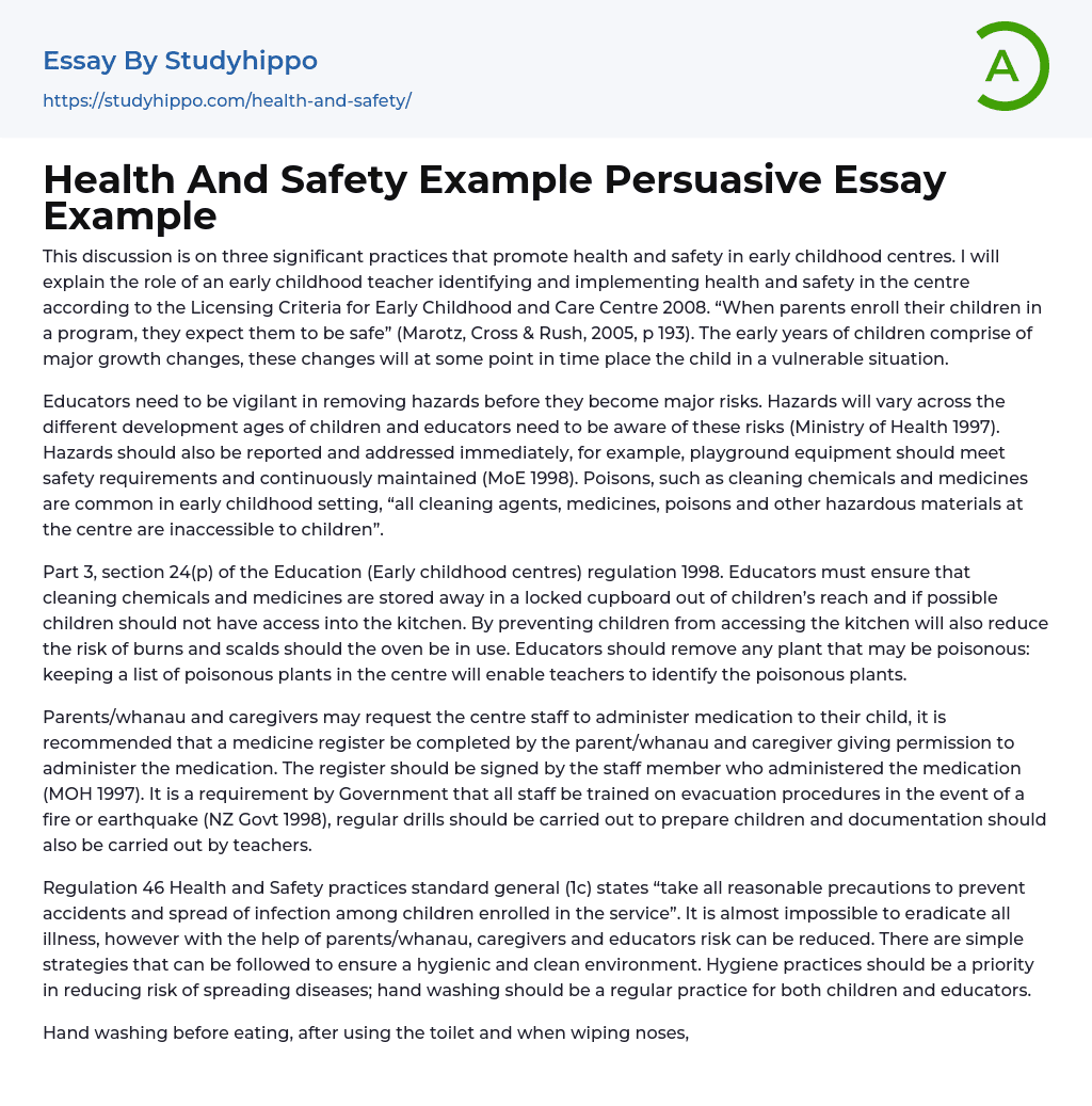 Health And Safety Example Persuasive Essay Example