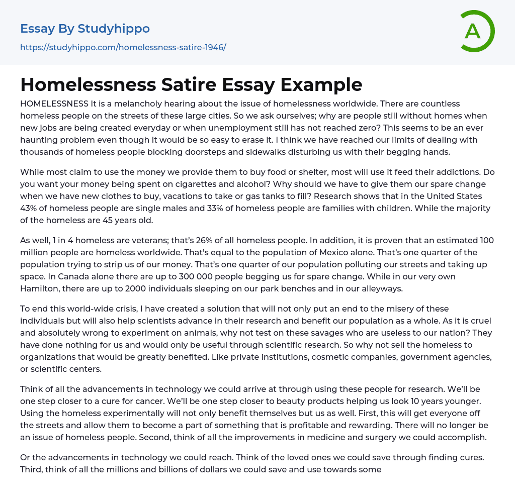 Homelessness Satire Essay Example