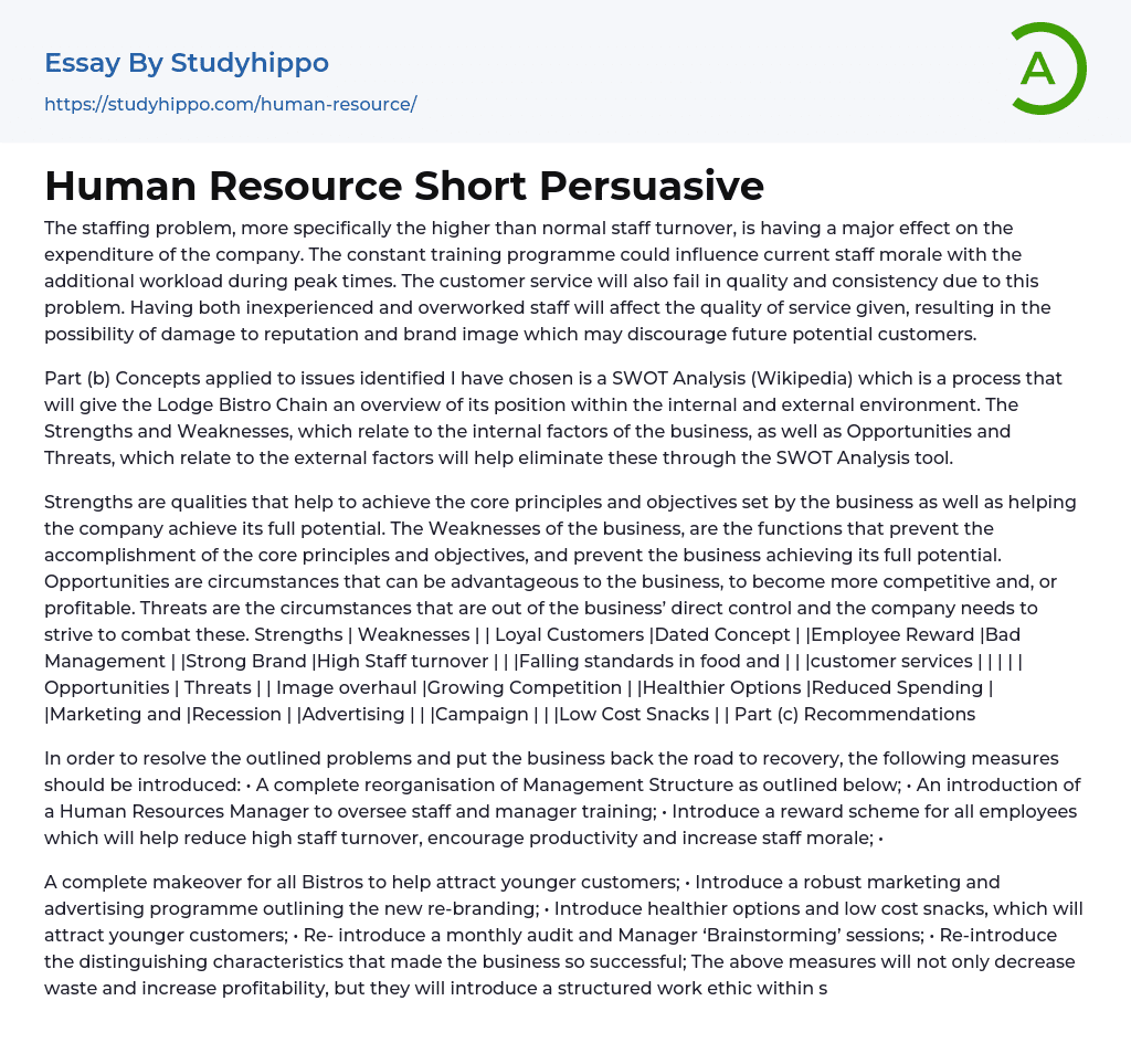 Human Resource Short Persuasive Essay Example