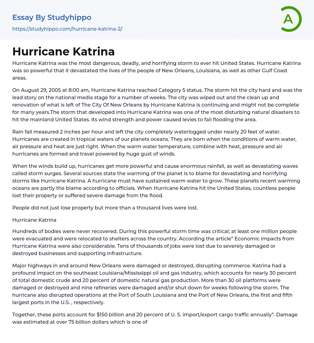 Hurricane Katrina Essay Example