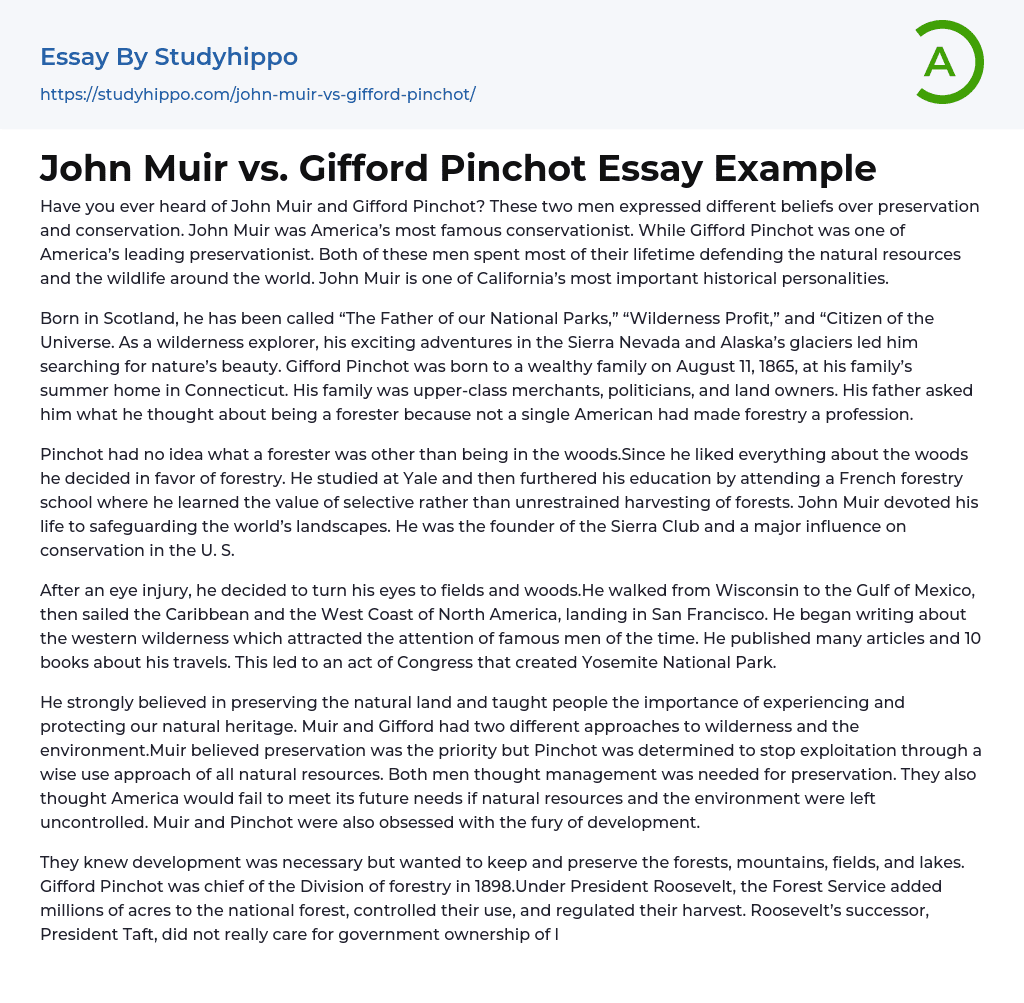 John Muir vs. Gifford Pinchot Essay Example