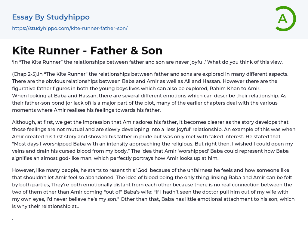 Kite Runner Father & Son Essay Example