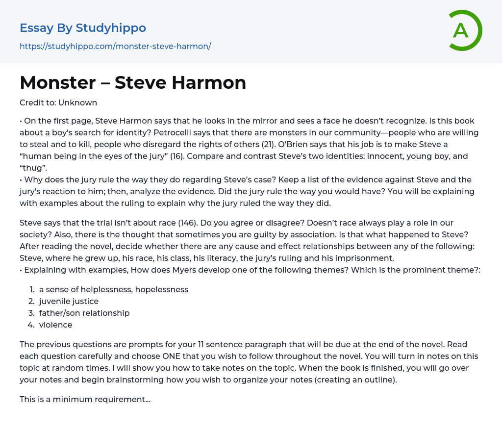 Monster Steve Harmon Essay Example