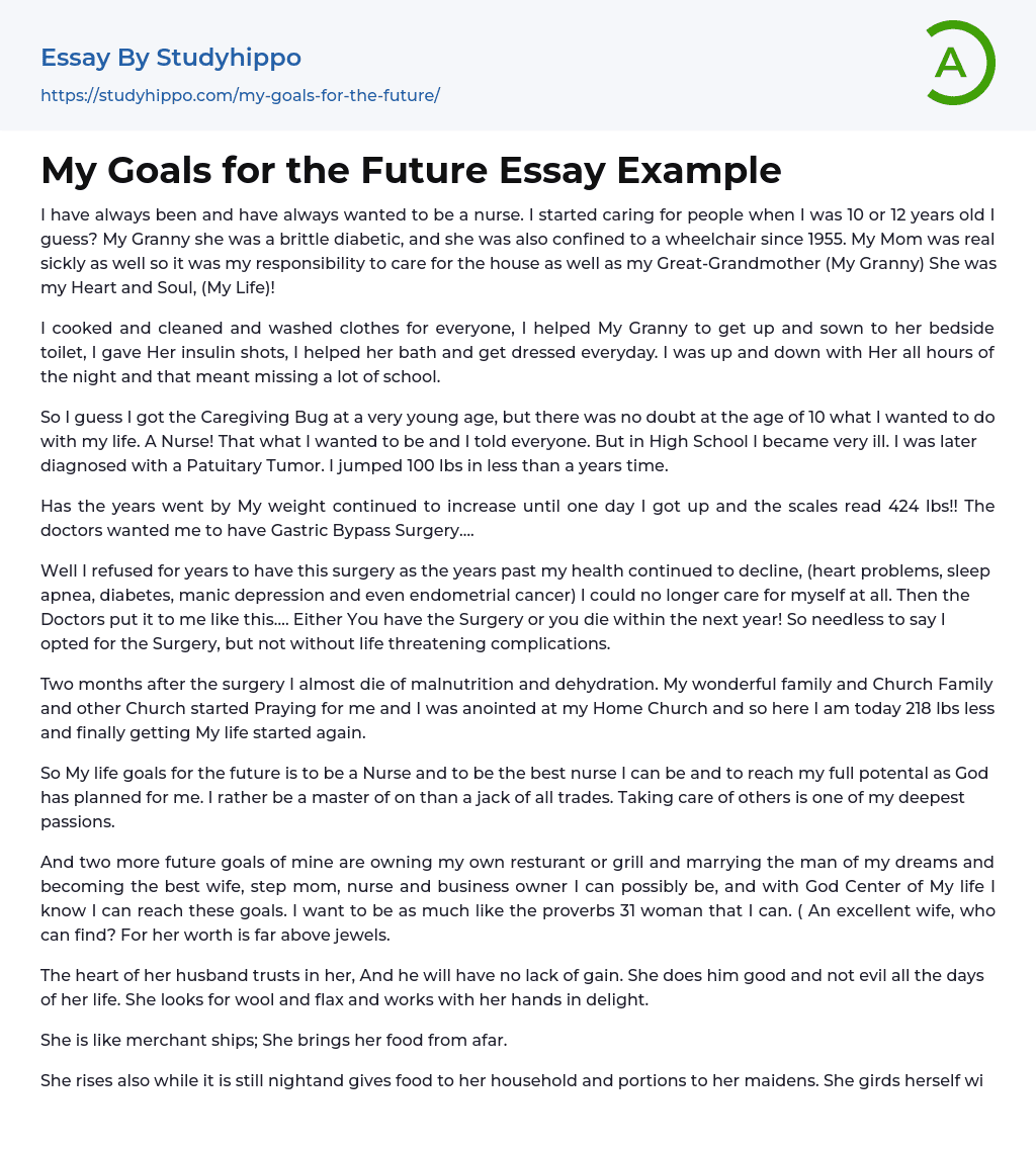 My Goals for the Future Essay Example