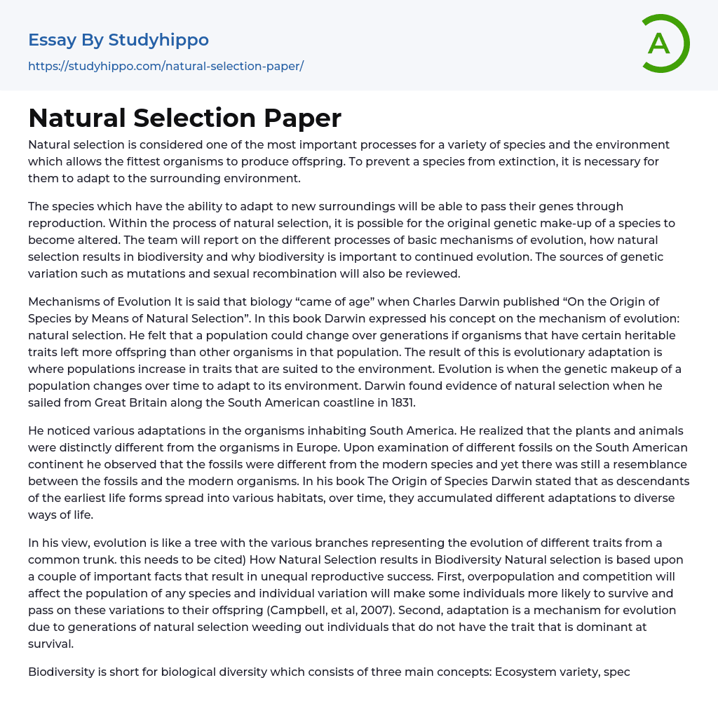 Natural Selection Paper Essay Example
