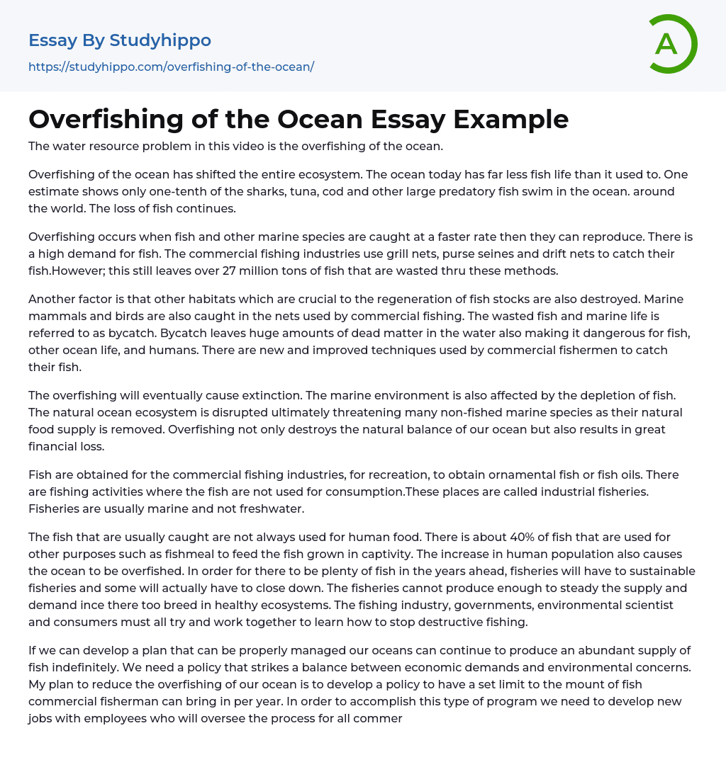 Overfishing of the Ocean Essay Example