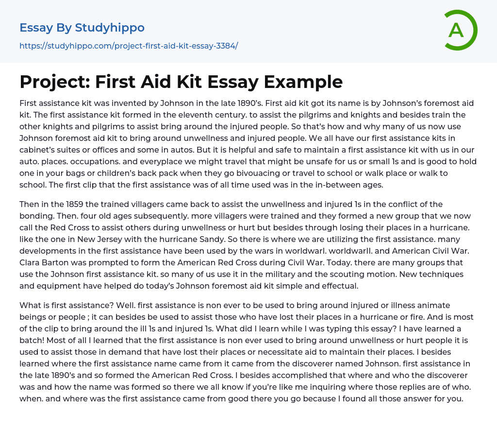 Project First Aid Kit Essay Example