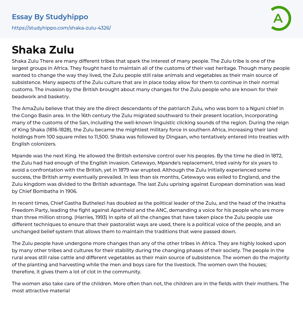 Shaka Zulu Essay Example