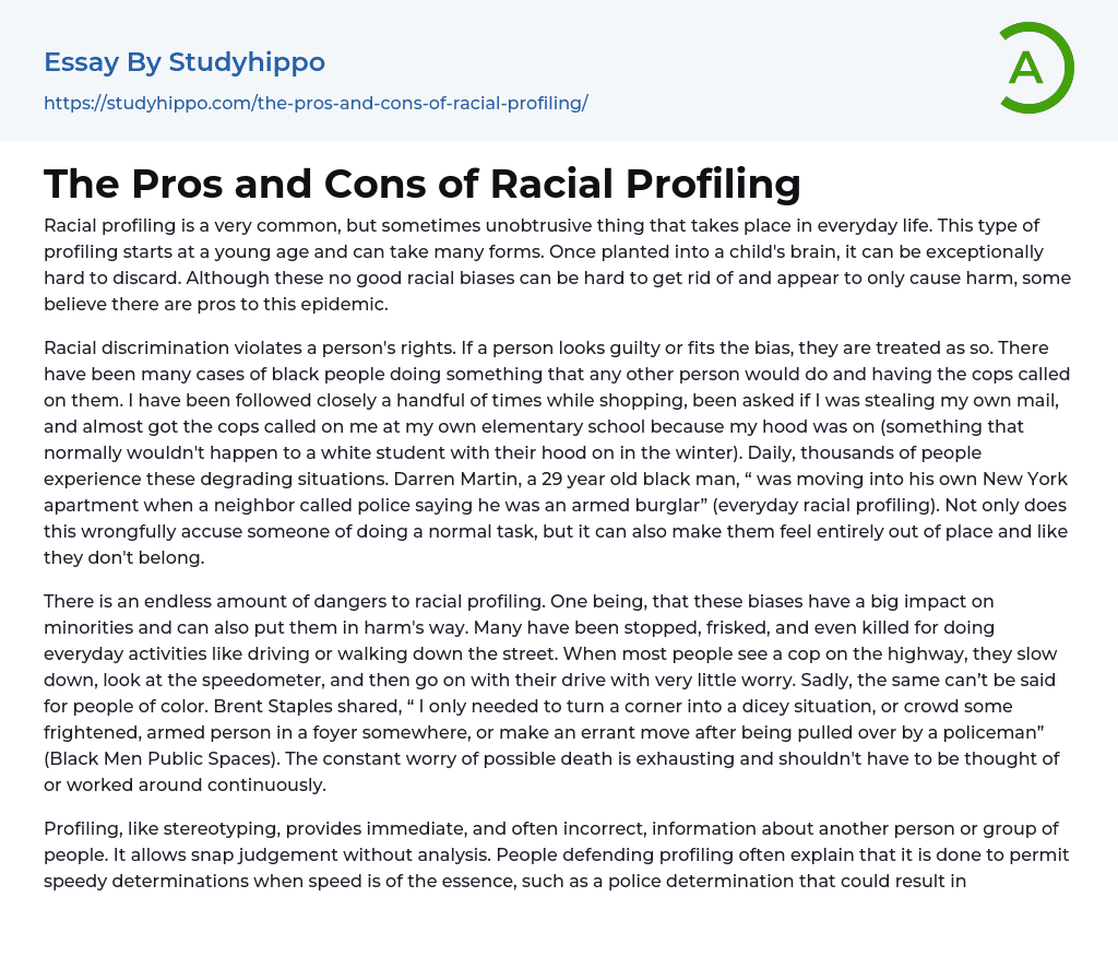 The Pros and Cons of Racial Profiling Essay Example