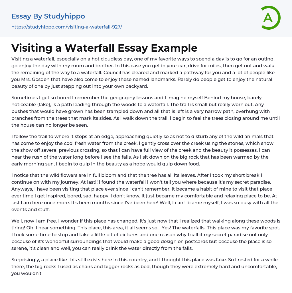 Visiting a Waterfall Essay Example