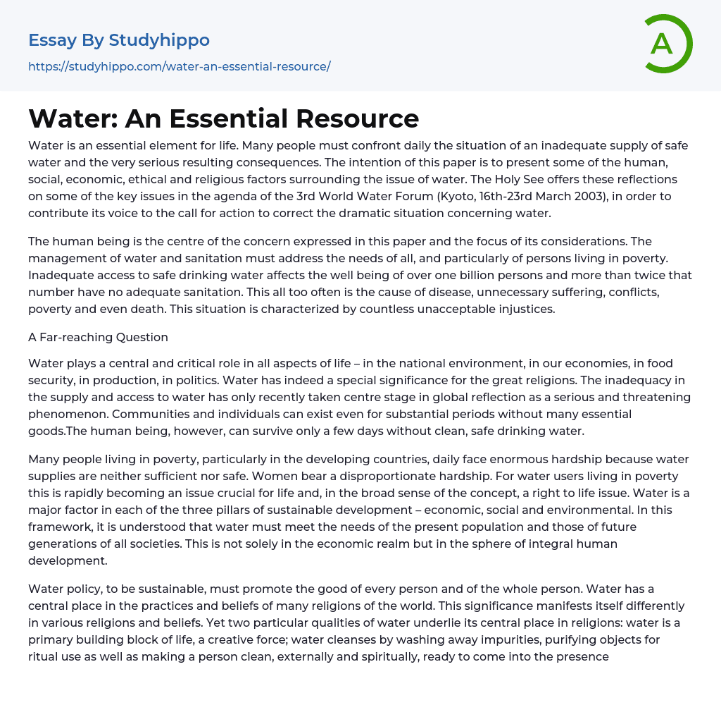 Water An Essential Resource Essay Example