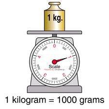 Measurement Facts--Metric Mass / Weight (grams and kilograms