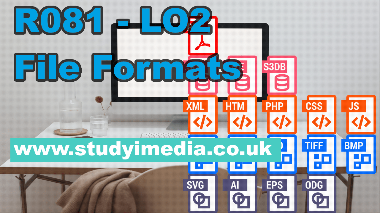 R081 LO3 File formats Study iMedia