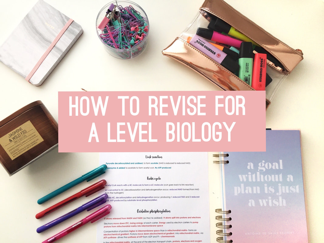 How to revise Biology (ALevel) Studying with Jasmine