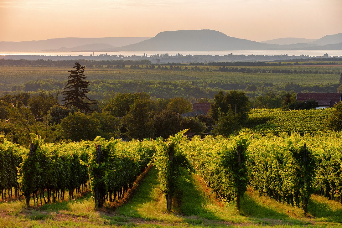 8 things to do around the Lake Balaton Study In Hungary