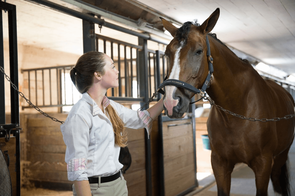 Top 5 reasons to attend StoneleighBurnham School Study International