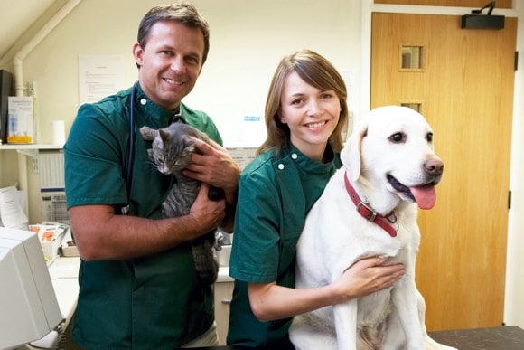 Vancouver Career College Veterinary Assistant Program STUDY Magazine