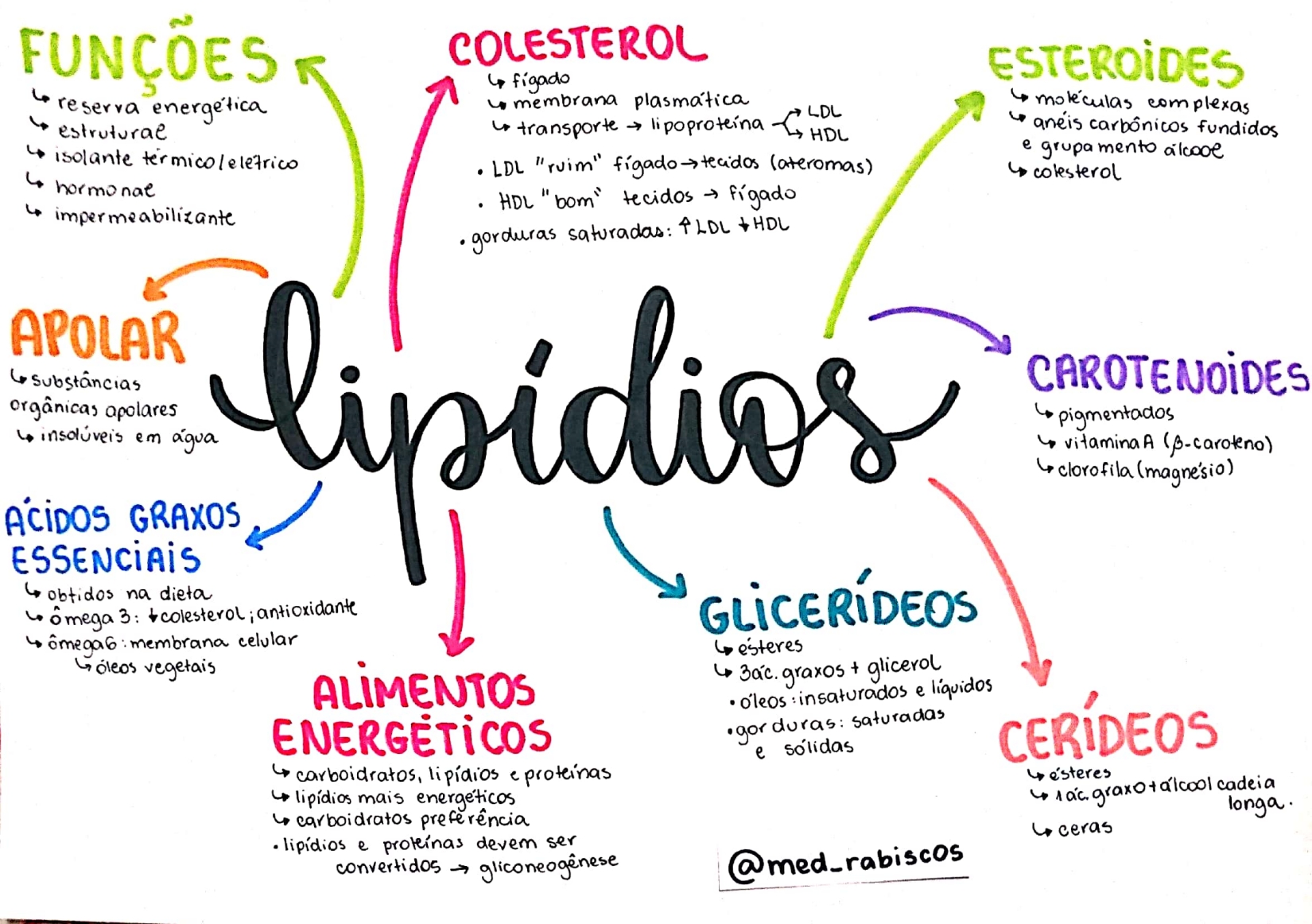 MAPA MENTAL SOBRE LIPÍDIOS STUDY MAPS