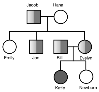 Inheritance – Genetic Diagrams (GCSE Biology) – Exam-Corner