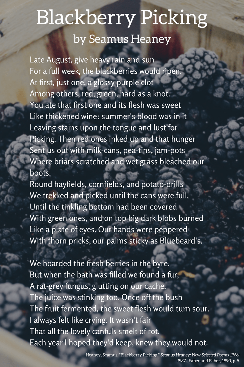 Essays on "Blackberry Picking" Book Summary & Free Paper Examples