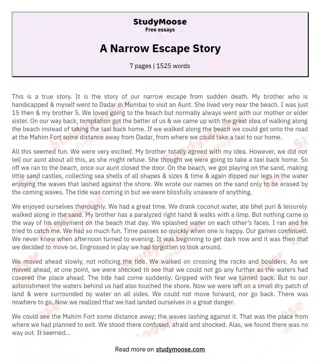 A Narrow Escape Story Free Essay Example
