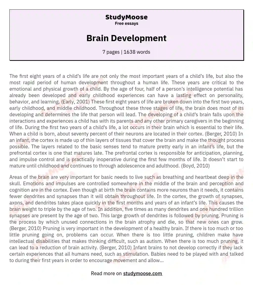 Brain Development Free Essay Example