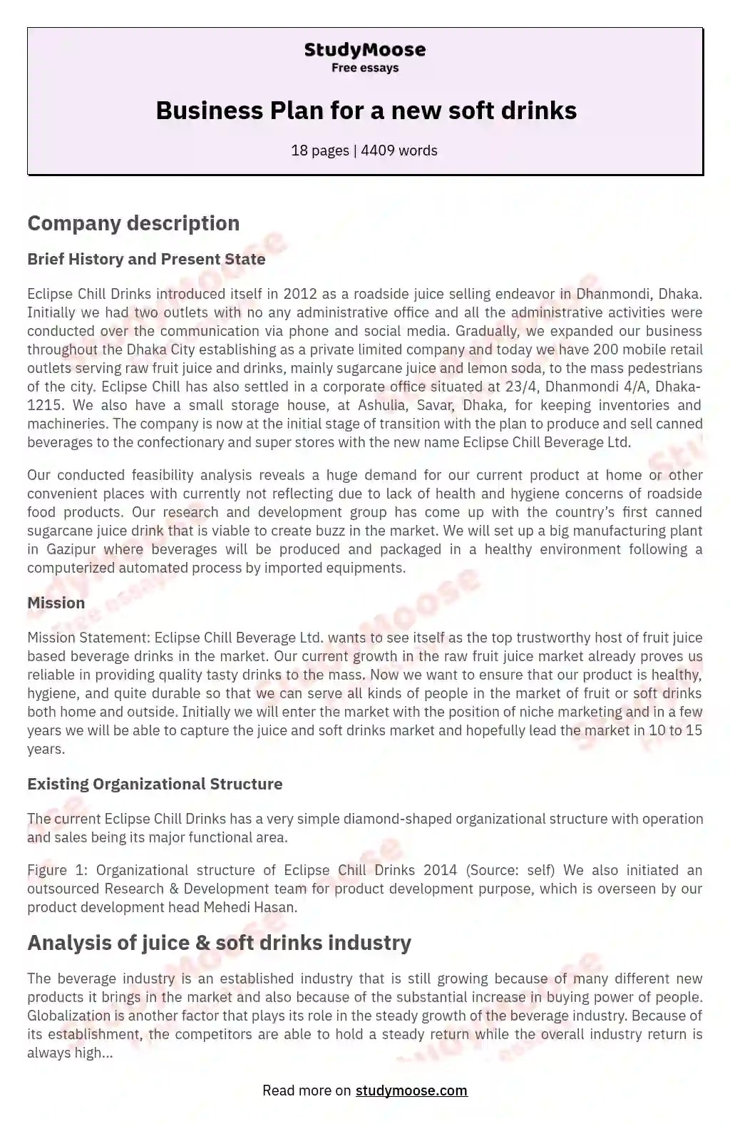 Business Plan for a new soft drinks Free Essay Example