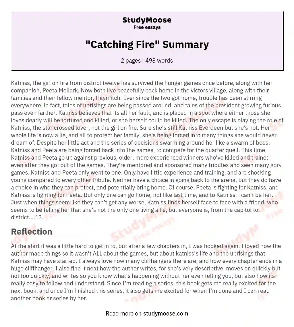 "Catching Fire" Summary Free Essay Example