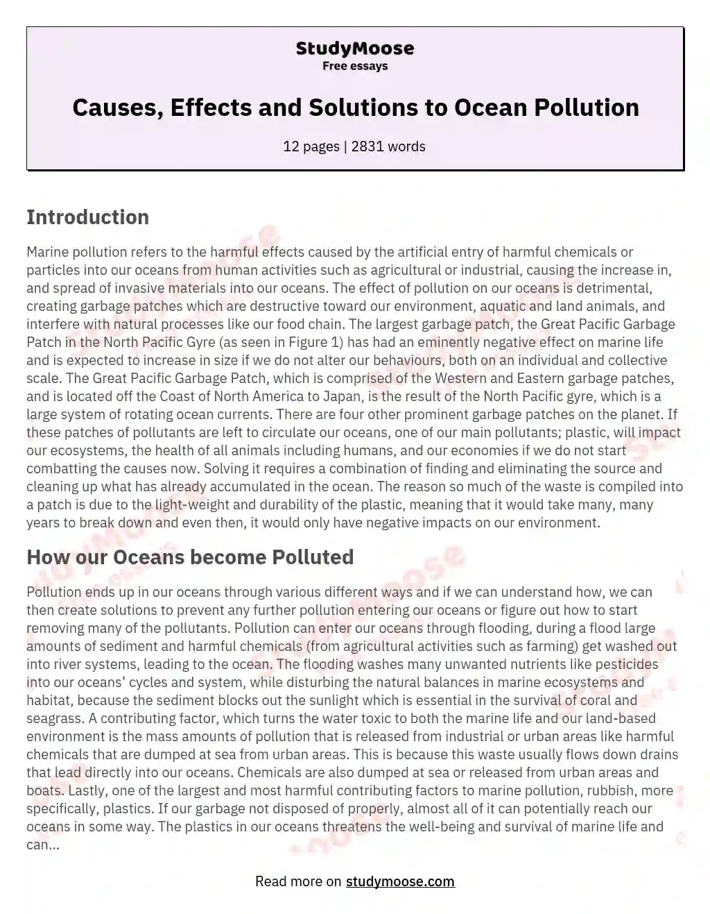 Causes, Effects and Solutions to Ocean Pollution Free Essay Example