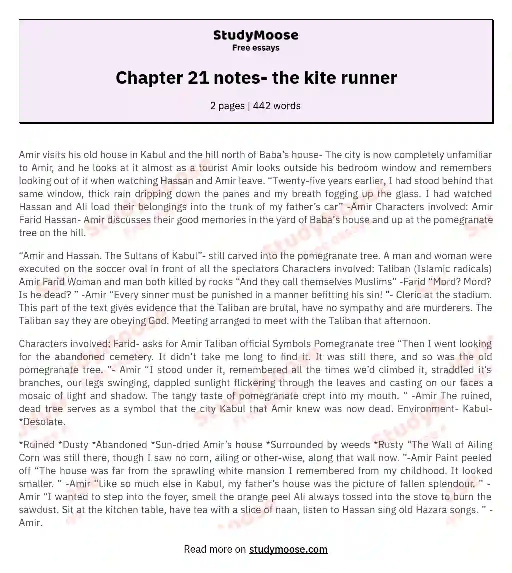 Chapter 21 notes the kite runner Free Essay Example