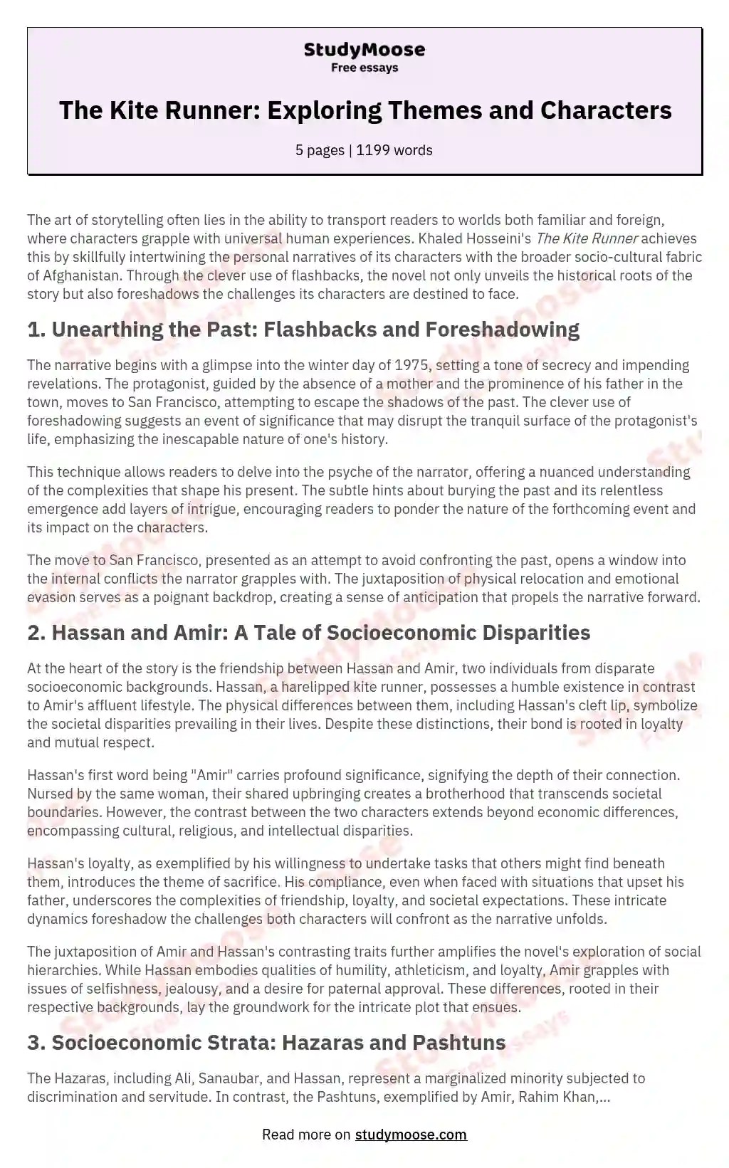 The Kite Runner Exploring Themes and Characters Free Essay Example