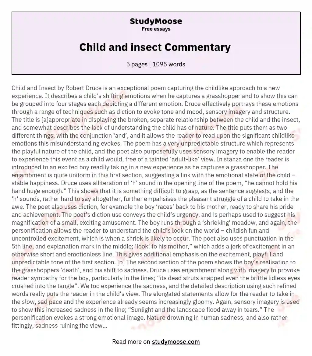 Child and insect Commentary Free Essay Example