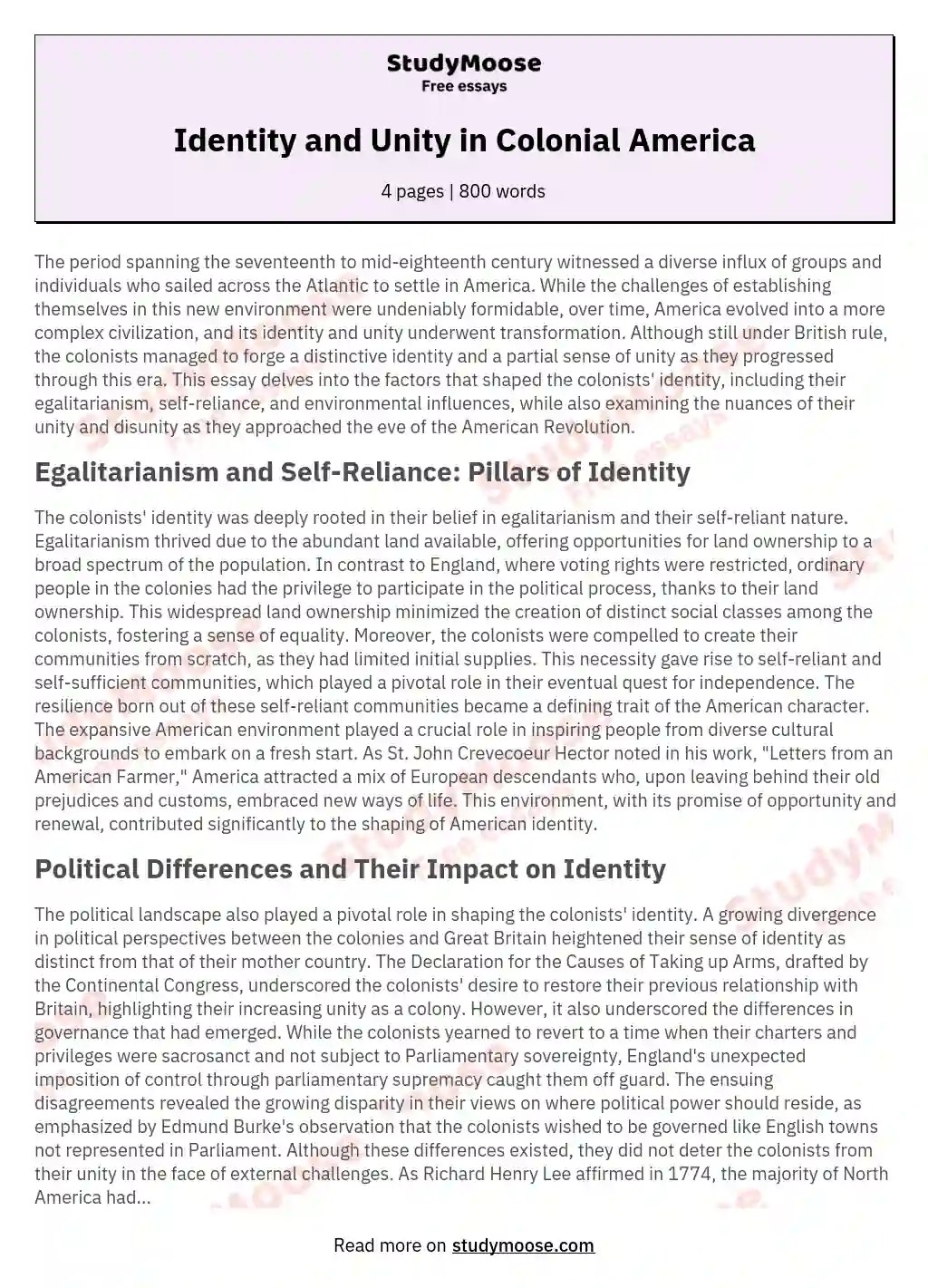 Identity and Unity in Colonial America Free Essay Example
