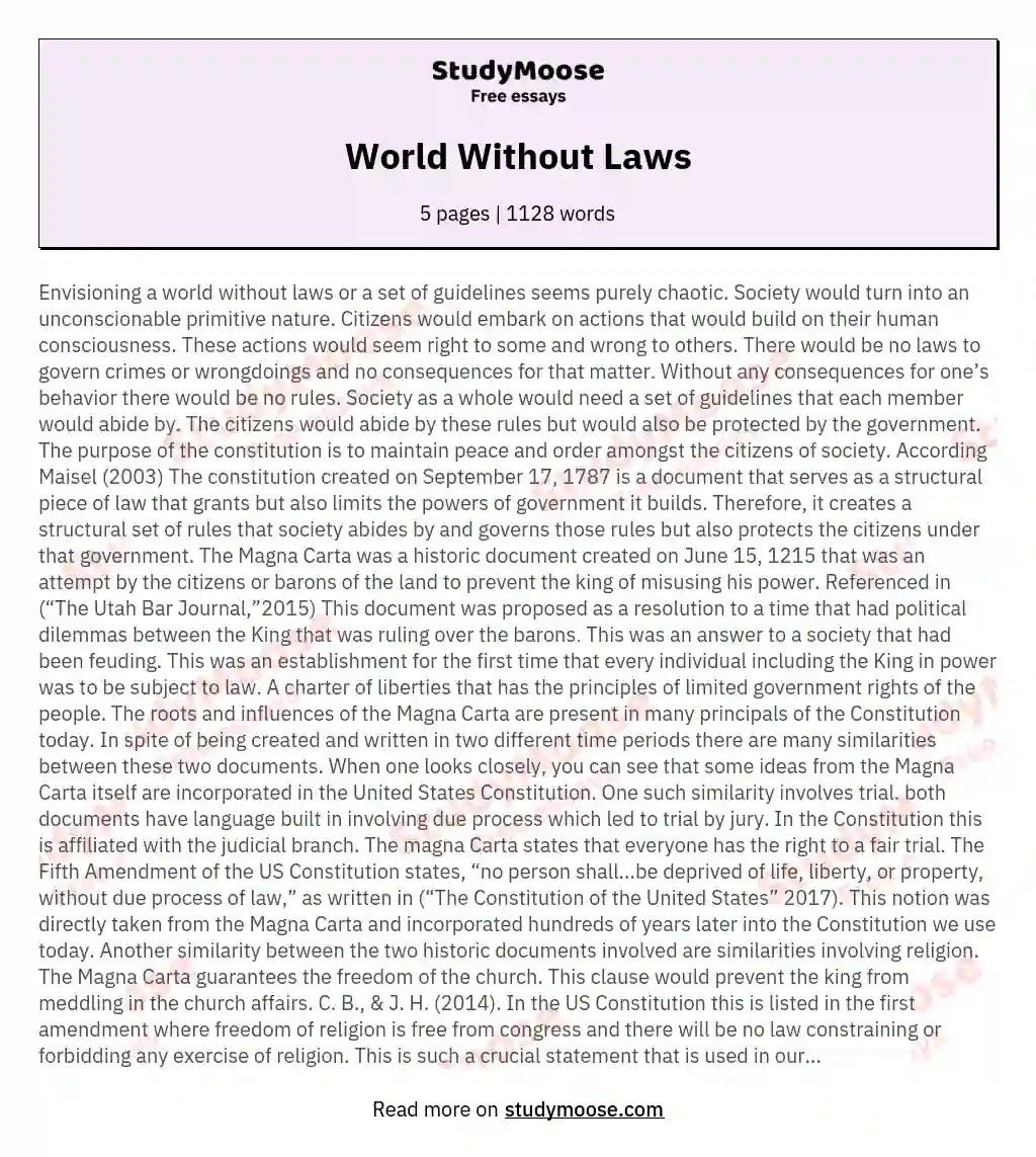 World Without Laws Free Essay Example