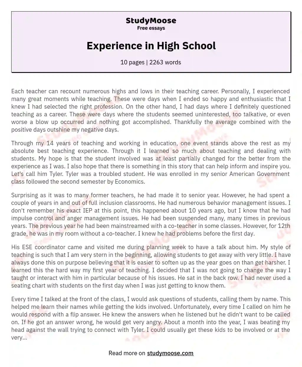 Experience in High School Free Essay Example