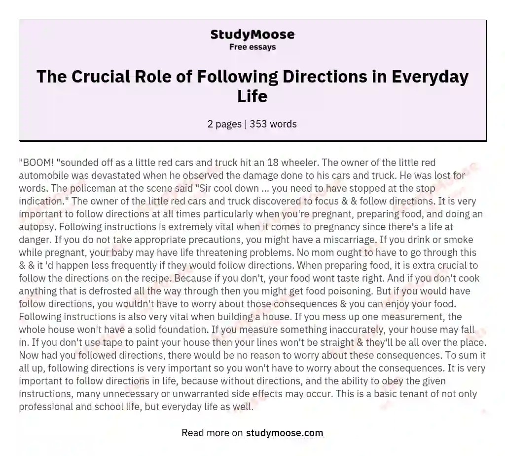 Following Directions Essay Example | Sitedoct.org