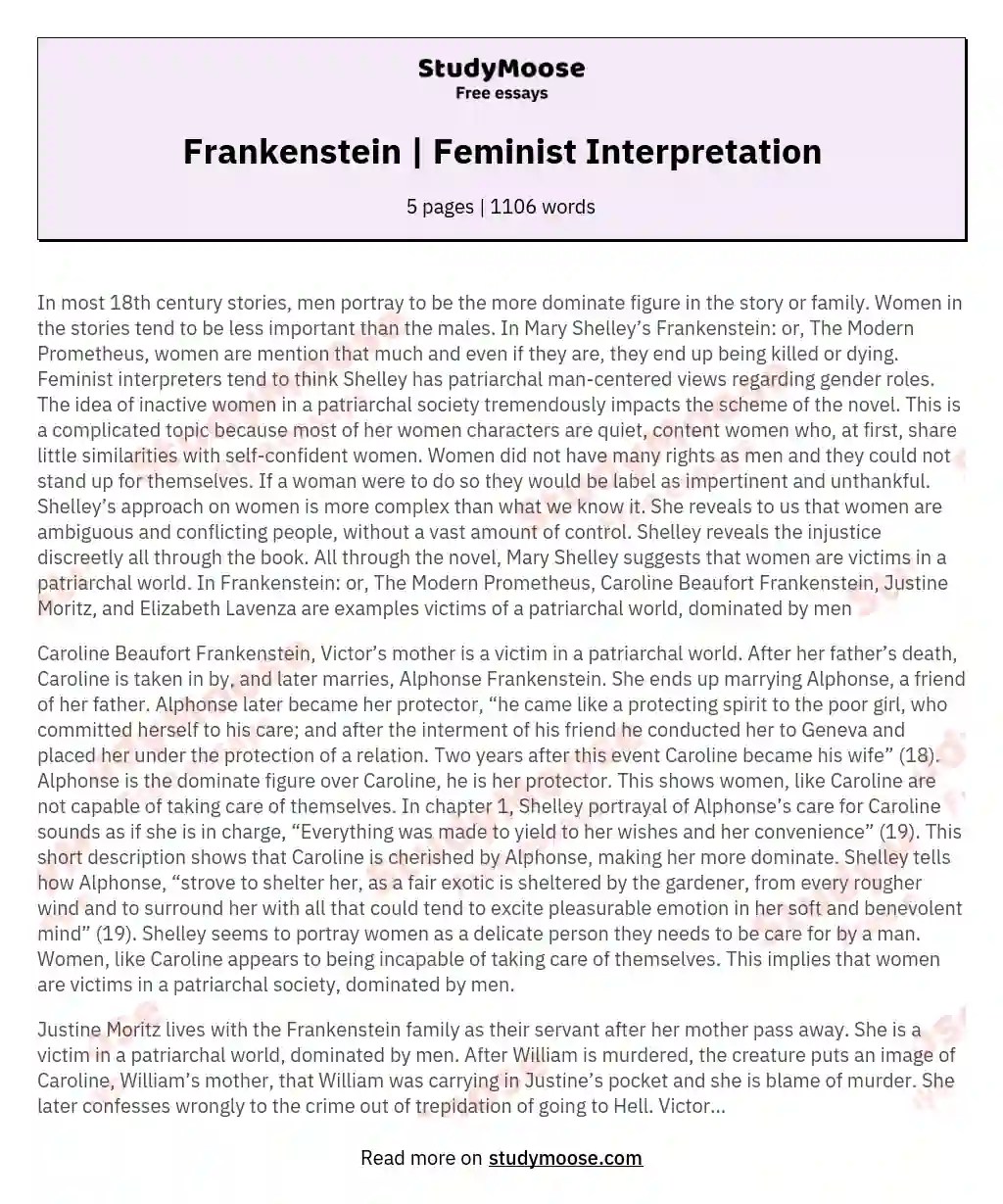 Frankenstein Feminist Interpretation Free Essay Example