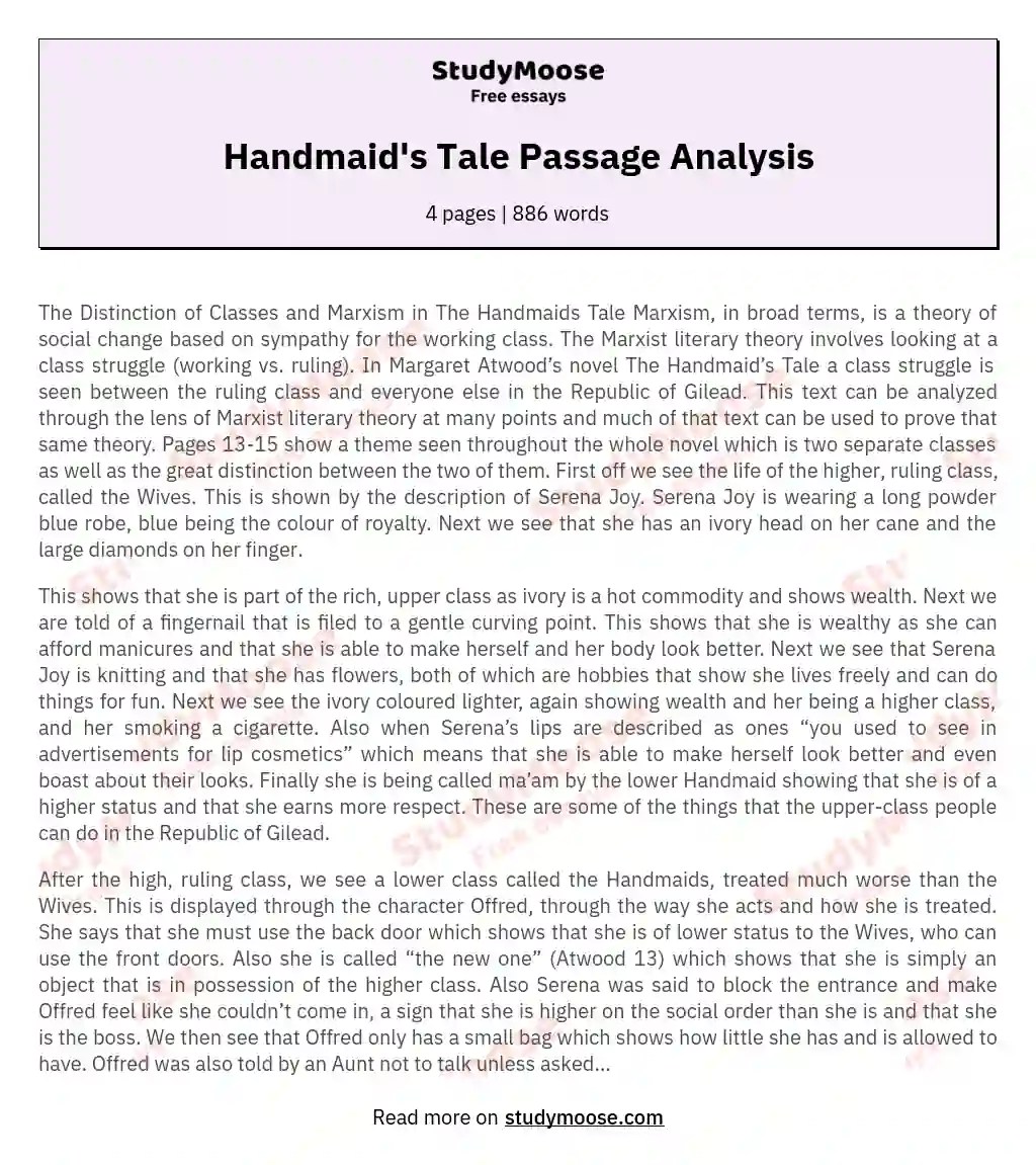 Handmaid's Tale Passage Analysis Free Essay Example